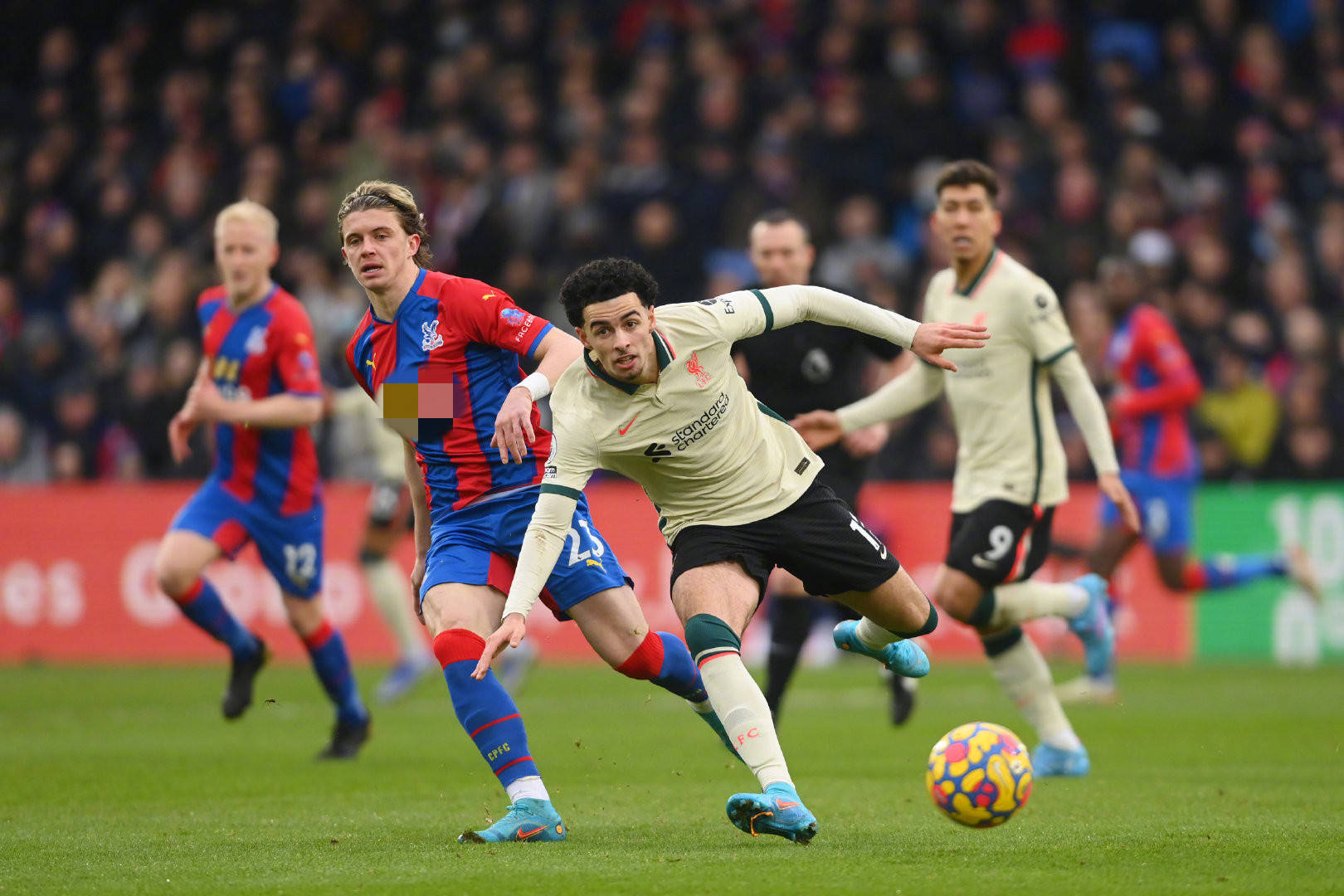 他会与教练 他会与教练